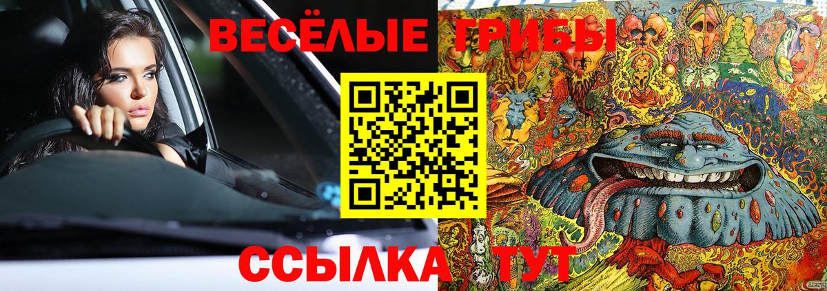 Галлюциногенные грибы мицелий Дальнегорск
